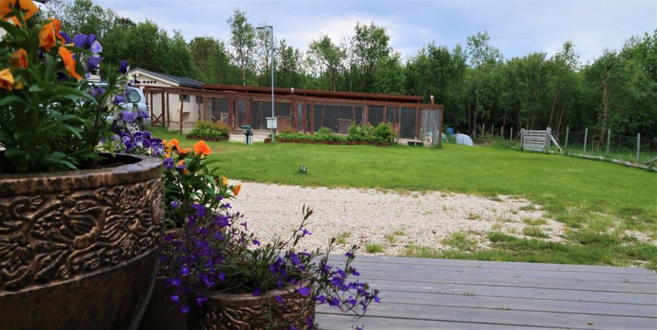 Villa Fjellivet à Lakselv Extérieur photo